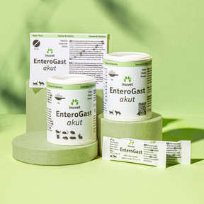 EnteroGast akut