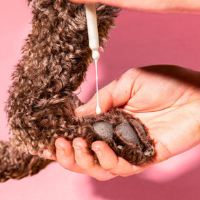 Dermin Pflege-Emulsion