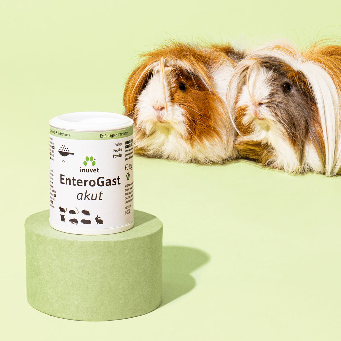 EnteroGast akut