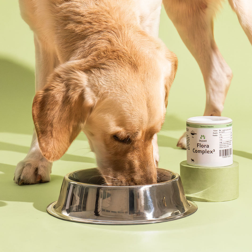 FloraComplex³ Pulver